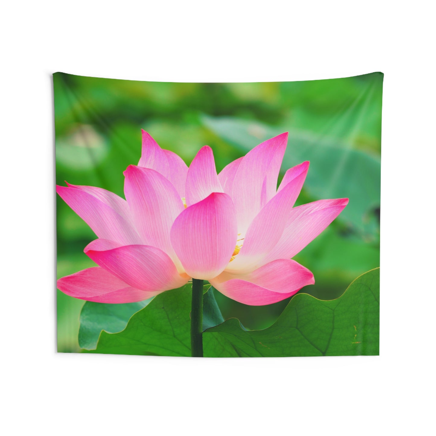 BLUME ROSA PINK BLÜTE LOTUS • Wandtuch • Wandttepich Schwarz Weiß • Wanddekor in v. Größen bis XXL