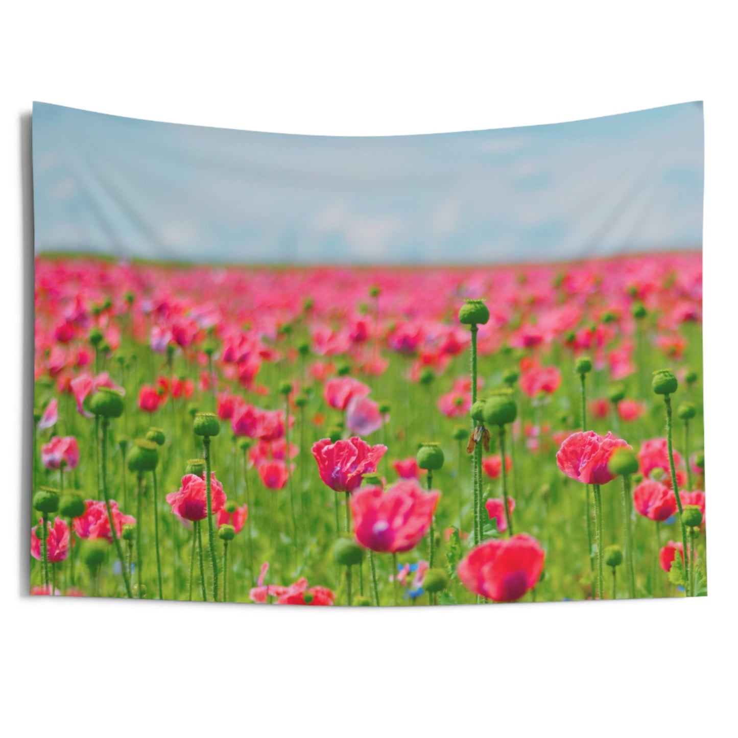 MOHNBLUMEN FELD Blumenfeld • Urlaubsmotiv • Wandtuch • Wandttepich • Wanddekor in v. Größen bis XXL