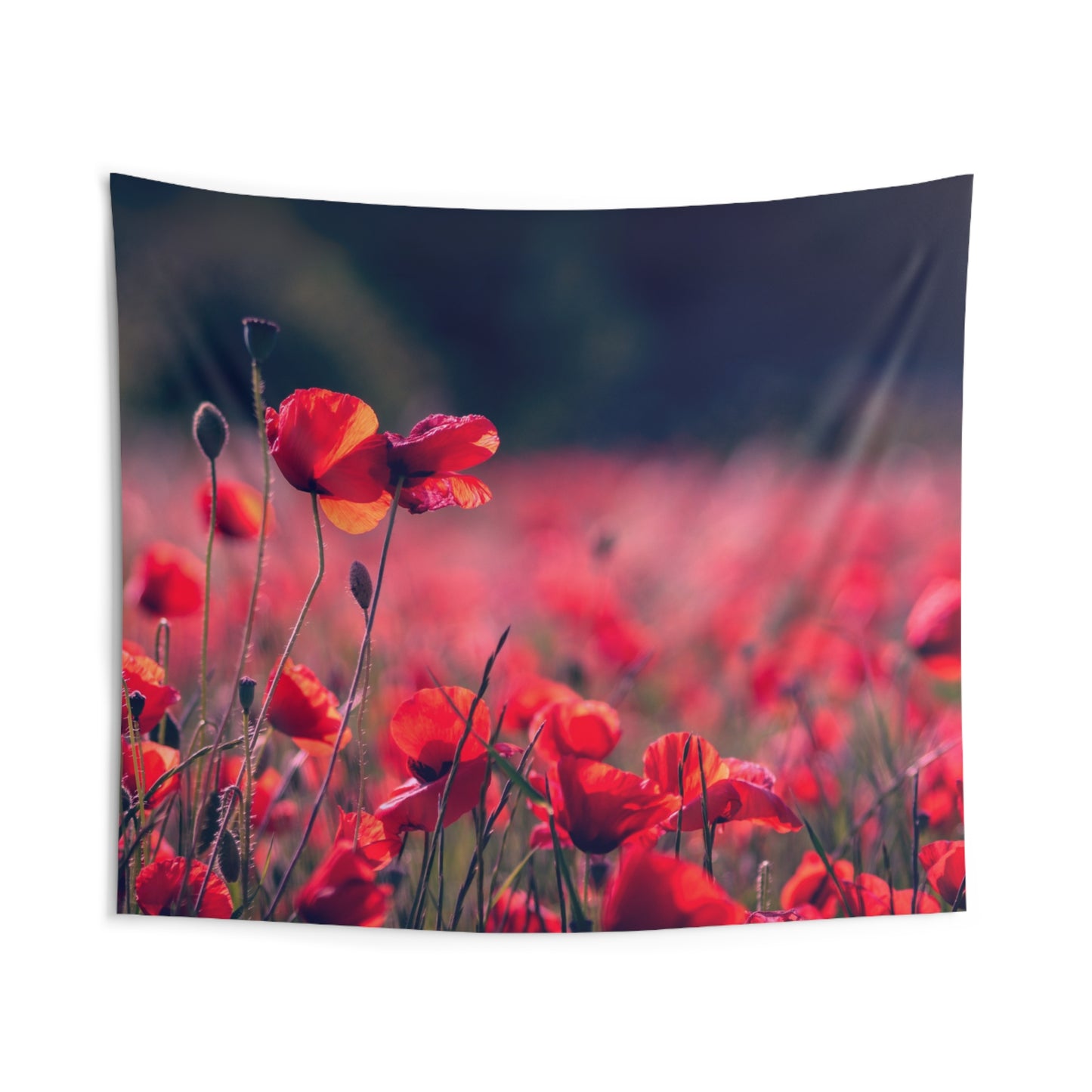 MOHNBLUMEN ROT MOHMFELD • Wandtuch • Wandttepich • Wanddekor in v. Größen bis XXL