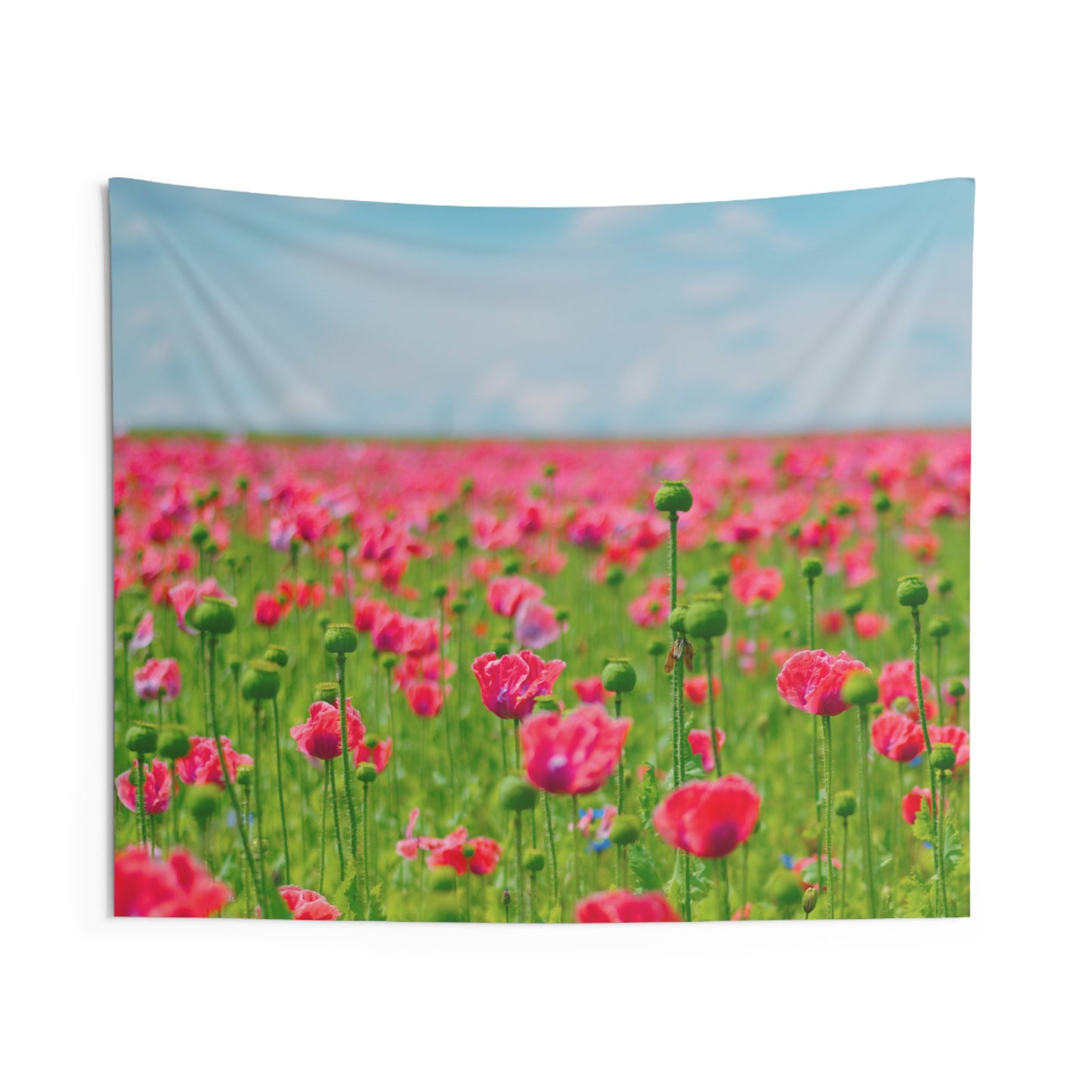 MOHNBLUMEN FELD Blumenfeld • Urlaubsmotiv • Wandtuch • Wandttepich • Wanddekor in v. Größen bis XXL