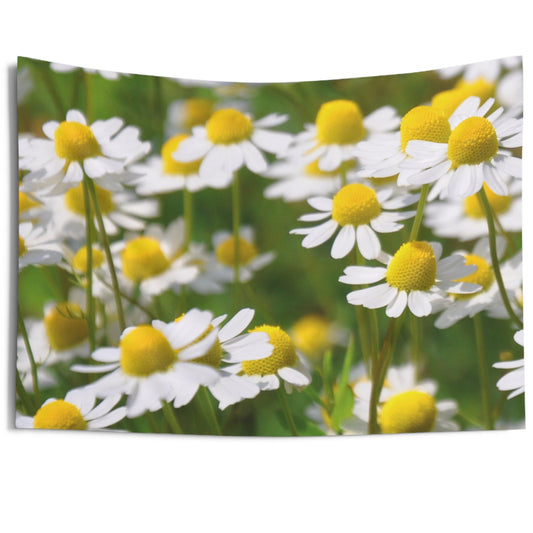 KAMILLENBLUMEN BLUMENWIESE NATURMOTIV • Wandtuch • Wandttepich • Wanddekor in v. Größen bis XXL