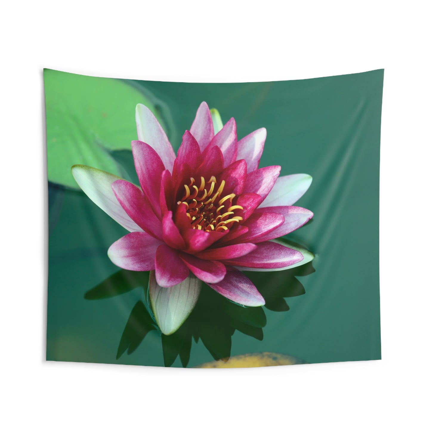 LOTUS SEEBLUME SEEROSE • Wandtuch • Wandttepich Schwarz Weiß • Wanddekor in v. Größen bis XXL