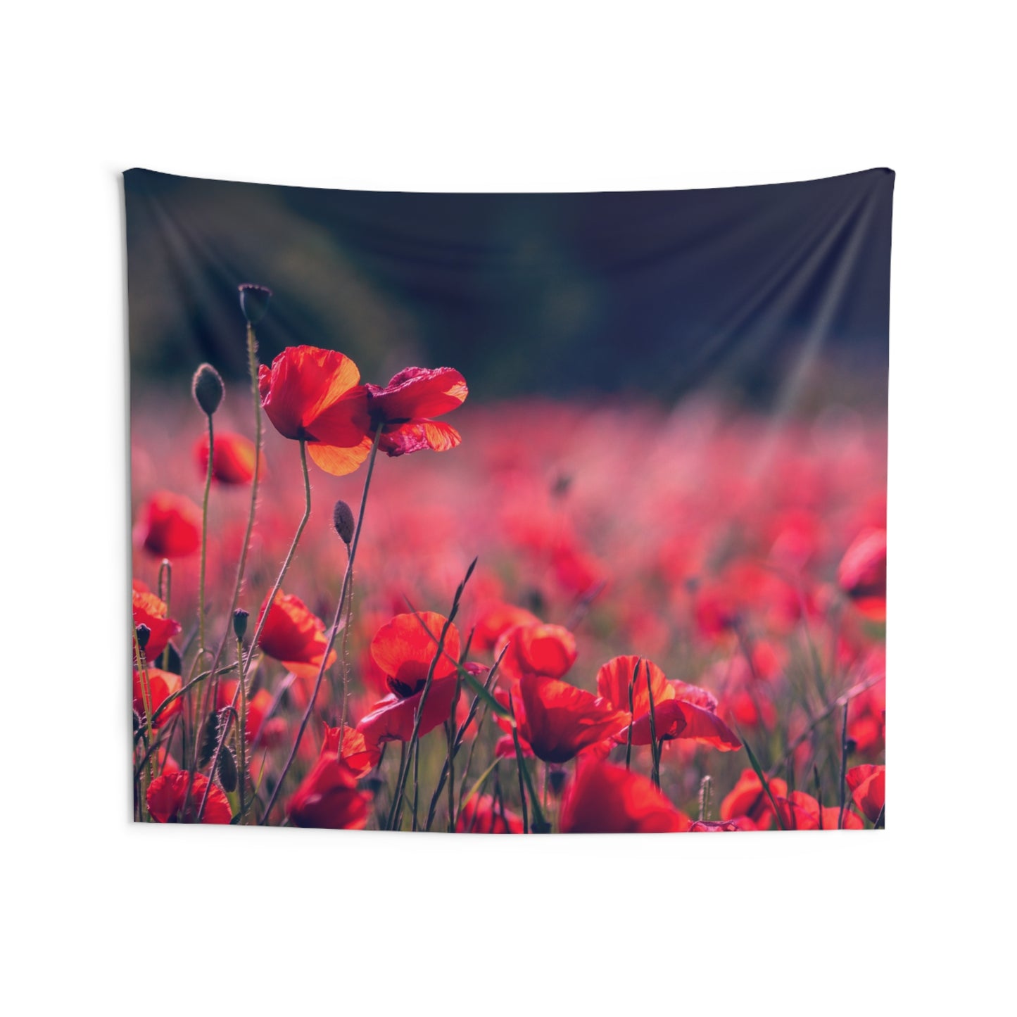 MOHNBLUMEN ROT MOHMFELD • Wandtuch • Wandttepich • Wanddekor in v. Größen bis XXL