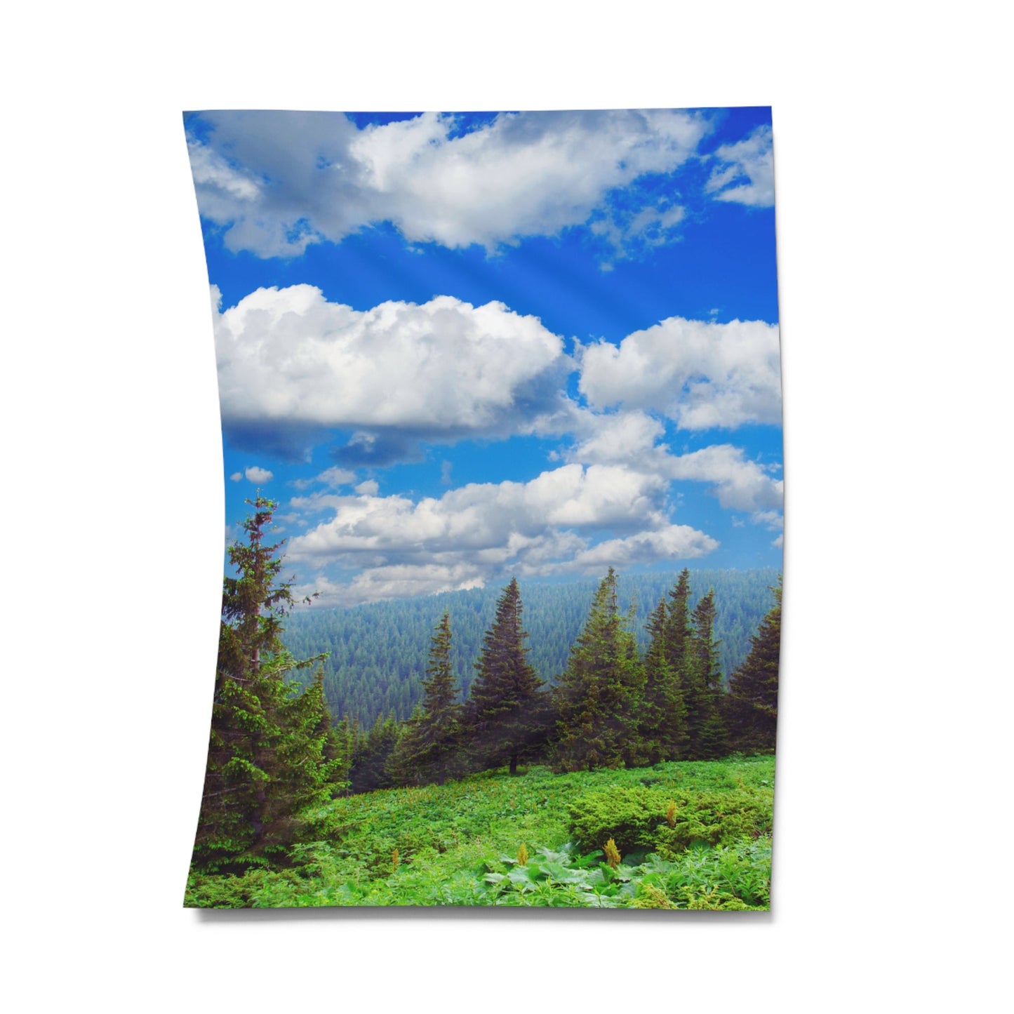 BÄUME WALD WIESE  • Urlaubsmotiv • Wandtuch • Wandttepich • Wanddekor in v. Größen bis XXL