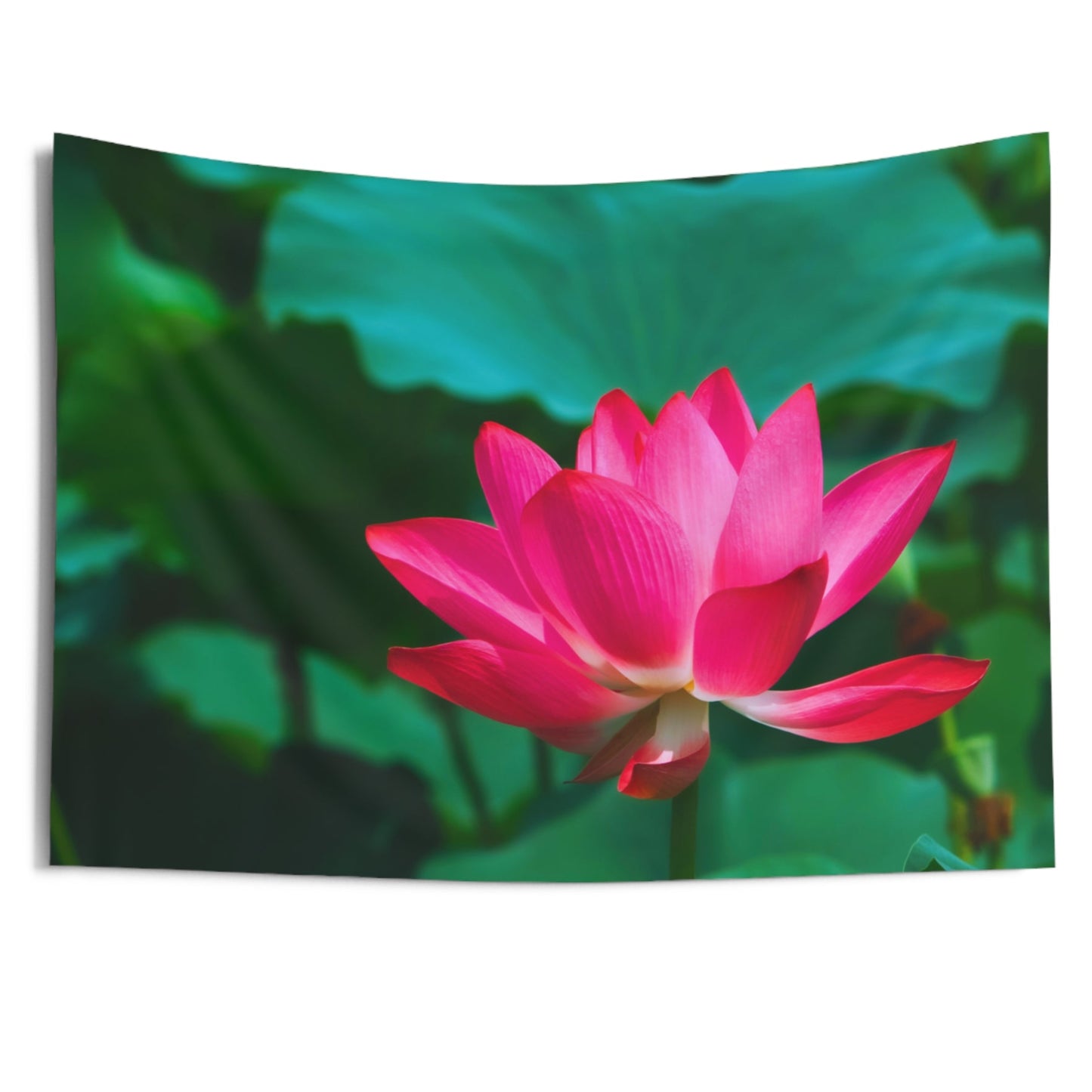 SEEROSE LOTUSBLUMEN Blüte Pinke Blume • Wandtuch • Wandttepich Grün • Wanddekor in v. Größen bis XXL