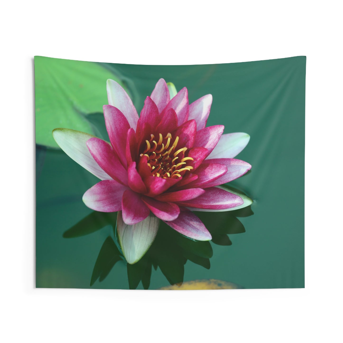 LOTUS SEEBLUME SEEROSE • Wandtuch • Wandttepich Schwarz Weiß • Wanddekor in v. Größen bis XXL