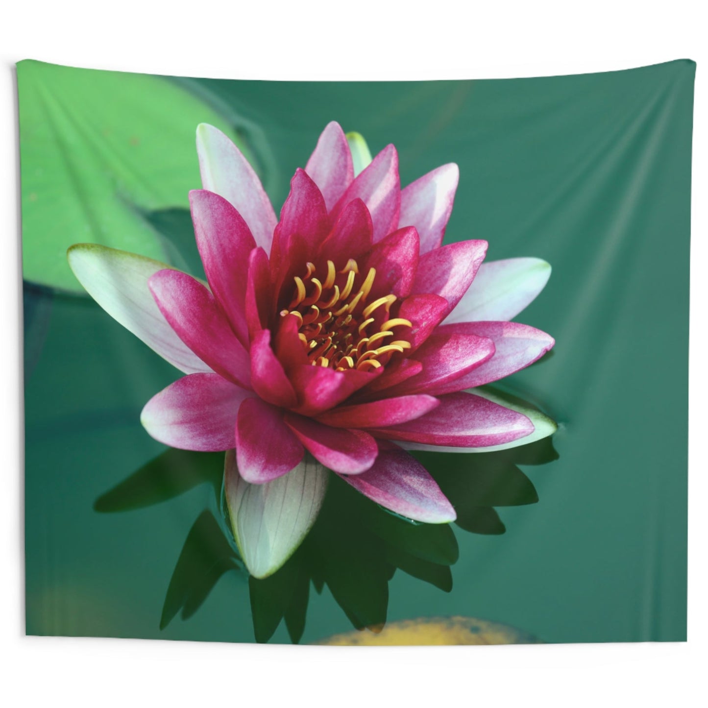 LOTUS SEEBLUME SEEROSE • Wandtuch • Wandttepich Schwarz Weiß • Wanddekor in v. Größen bis XXL