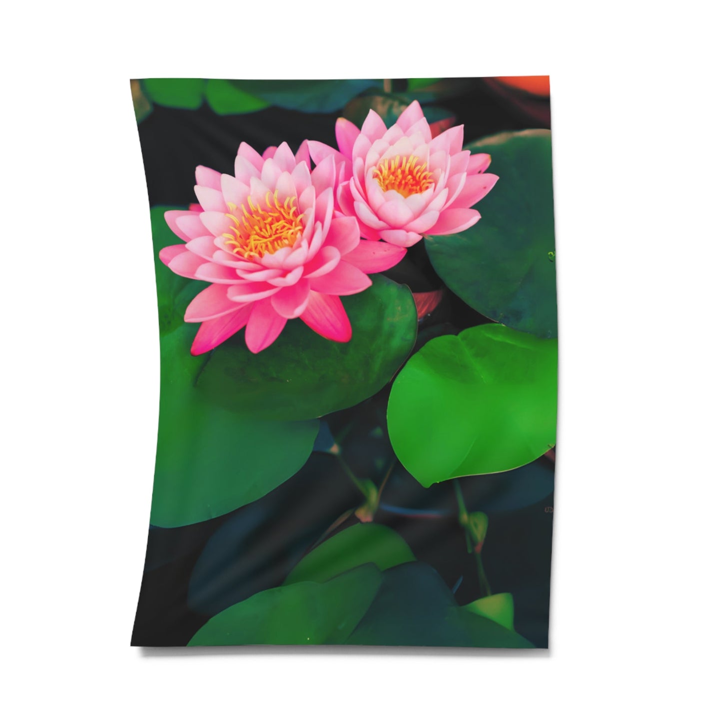 LOTUSBLUMEN WANDKUNST • Wandtuch • Wandttepich • Wanddekor in v. Größen bis XXL