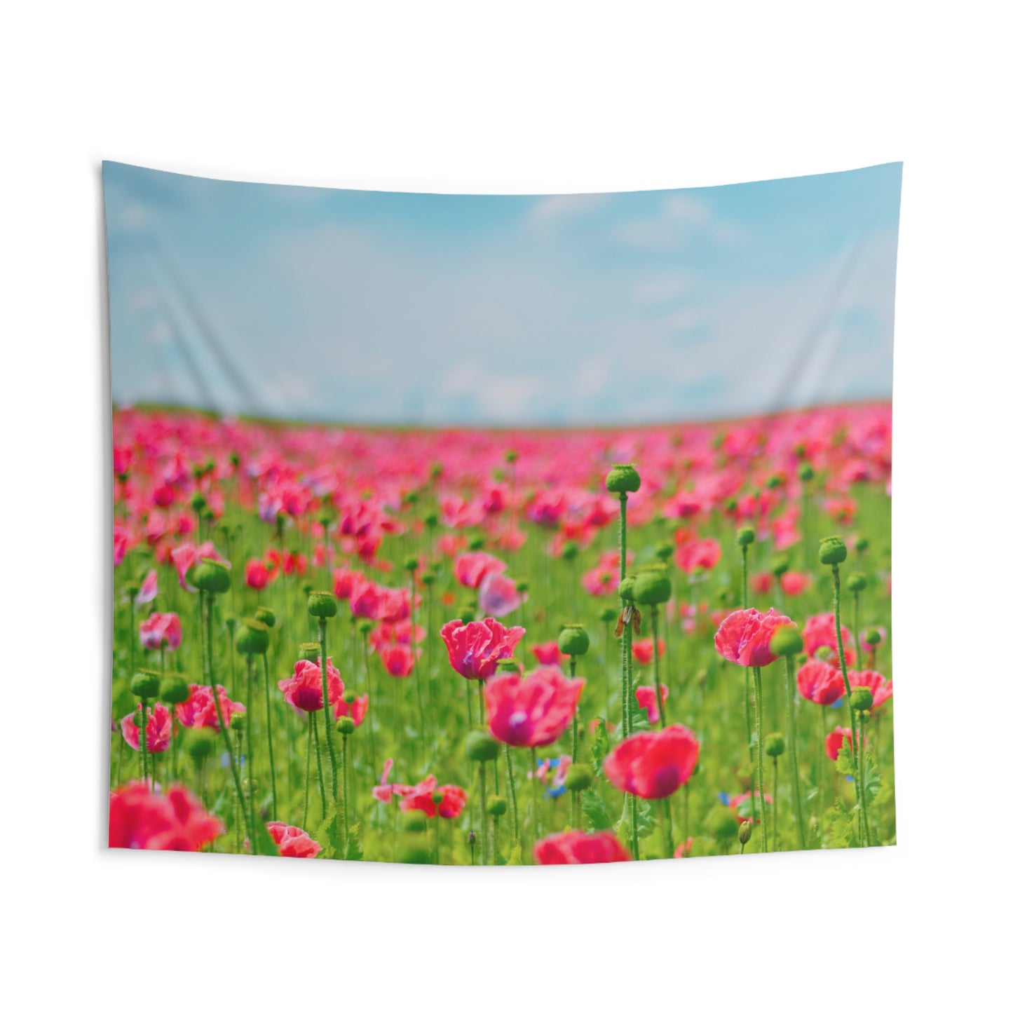 MOHNBLUMEN FELD Blumenfeld • Urlaubsmotiv • Wandtuch • Wandttepich • Wanddekor in v. Größen bis XXL