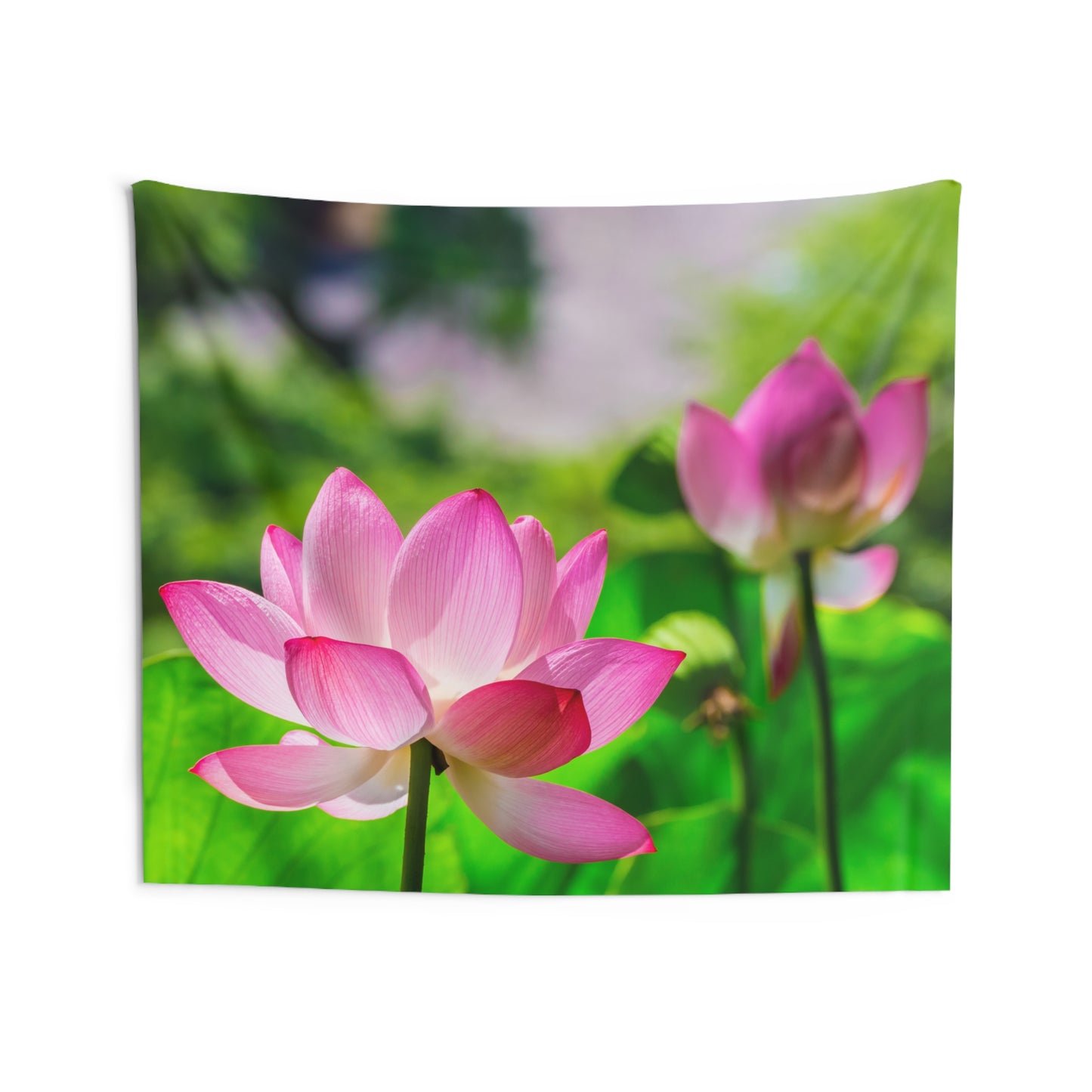 PINKE LOTUSBLÜTEN • Wandtuch • Wandttepich Schwarz Weiß • Wanddekor in v. Größen bis XXL