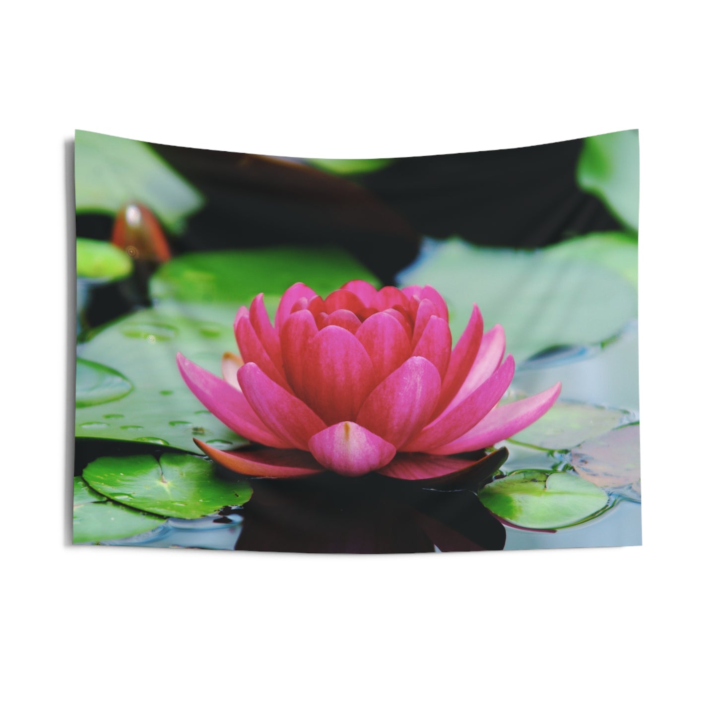 LOTUS PINKE BLUME SEEROSE • Wandtuch • Wandttepich • Wanddekor in v. Größen bis XXL