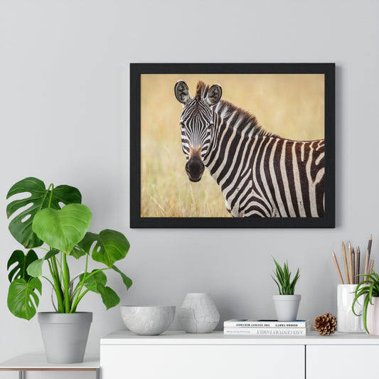 Horizontal Framed Poster