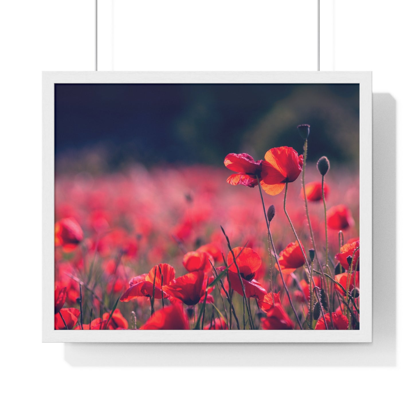 Horizontal Framed Poster