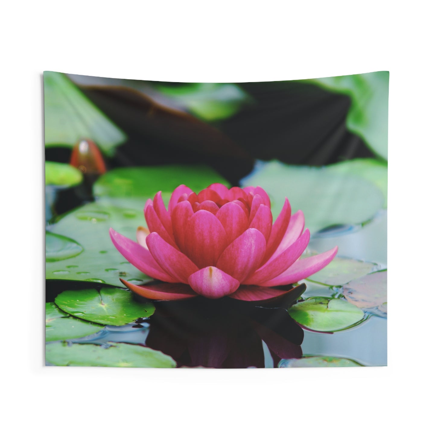 LOTUS PINKE BLUME SEEROSE • Wandtuch • Wandttepich • Wanddekor in v. Größen bis XXL