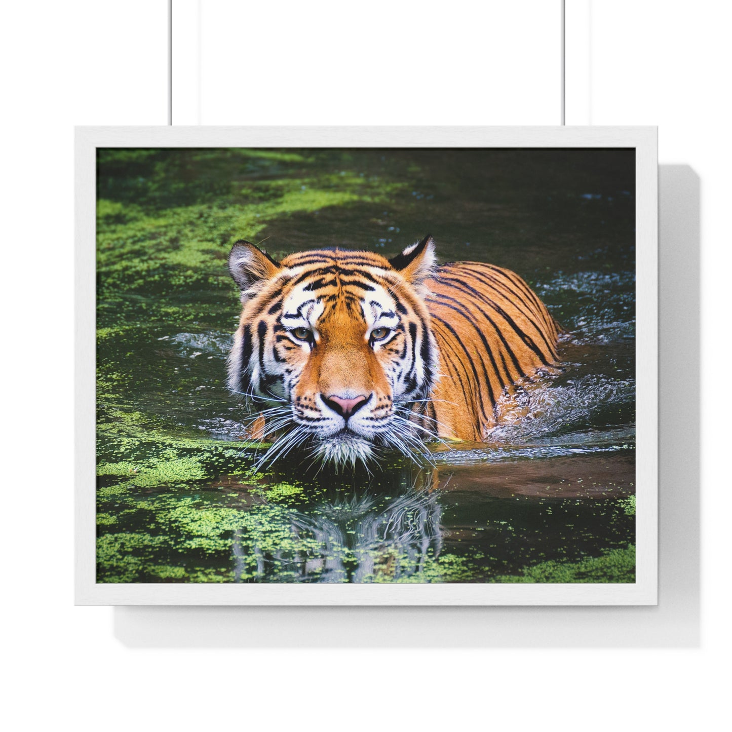 Horizontal Framed Poster