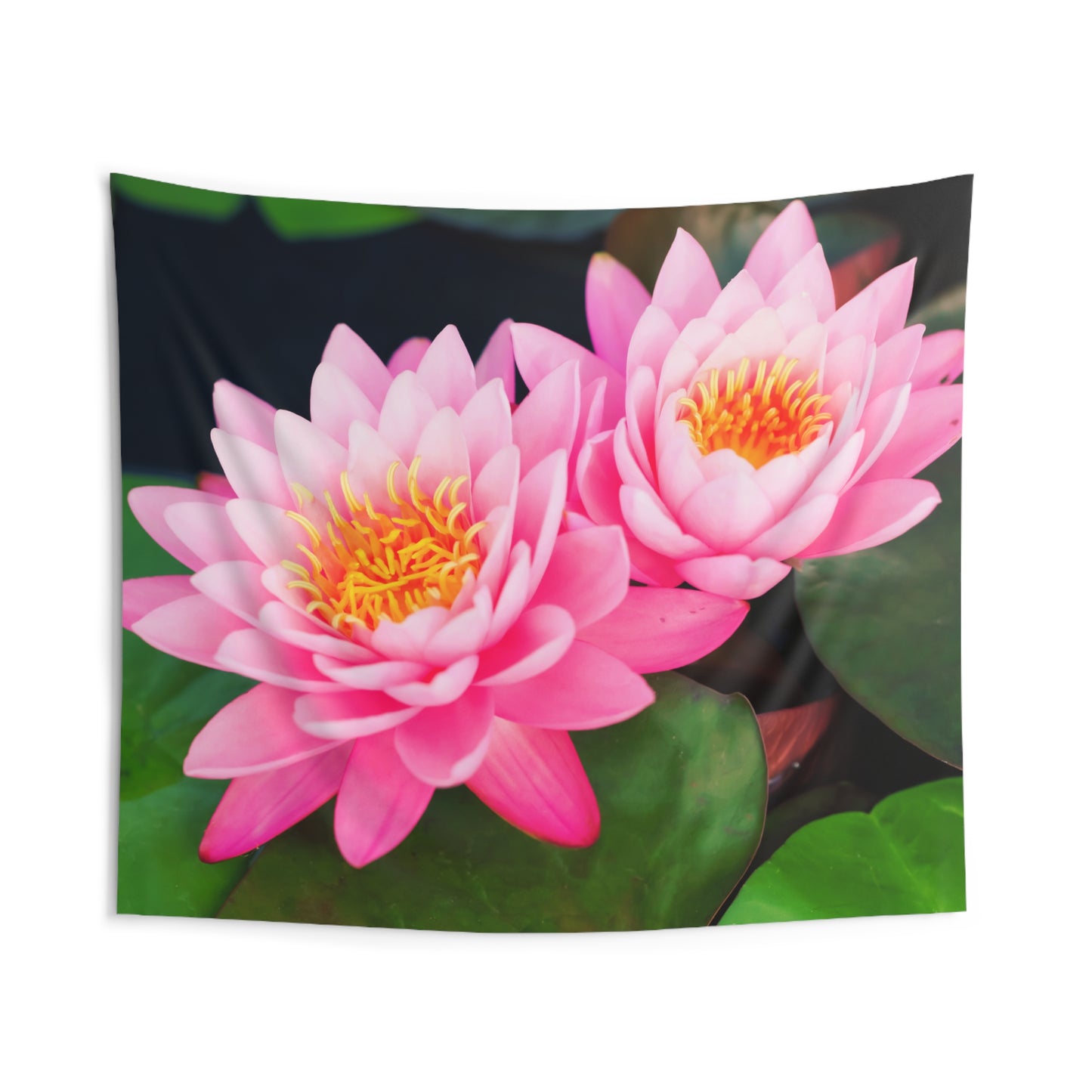 LOTUS BLÜTEN Rosa Pink Ästhetisch Buddhistisches SYMBOL • Wandtuch • Wandttepich • Wanddekor in v. Größen bis XXL