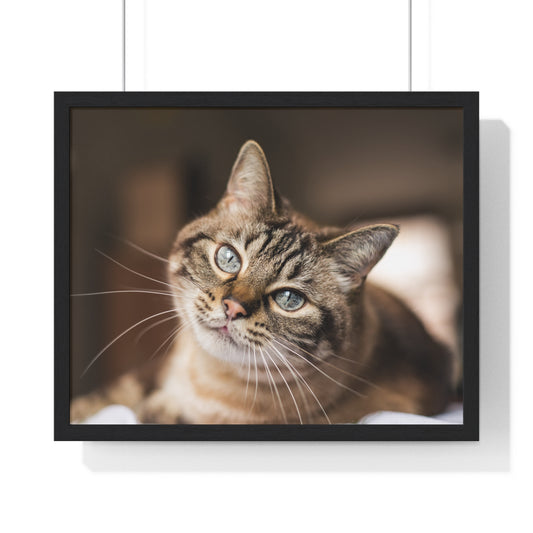 Horizontal Framed Poster