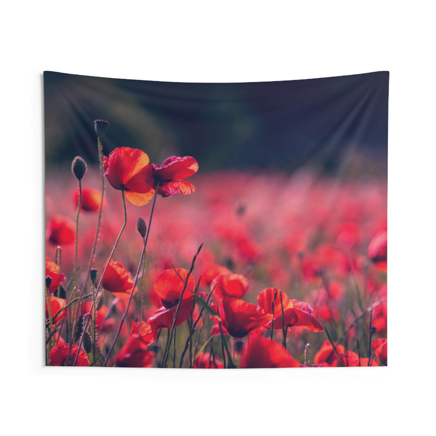 MOHNBLUMEN ROT MOHMFELD • Wandtuch • Wandttepich • Wanddekor in v. Größen bis XXL