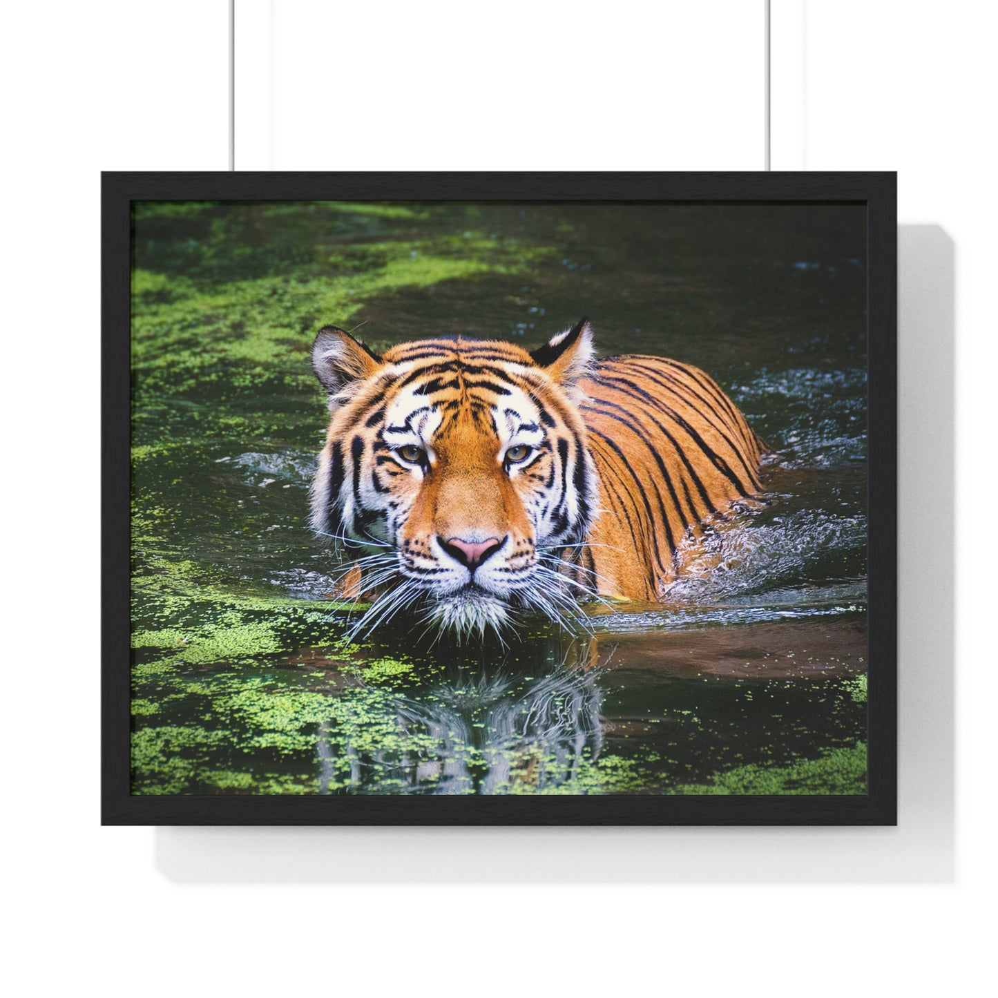 Horizontal Framed Poster