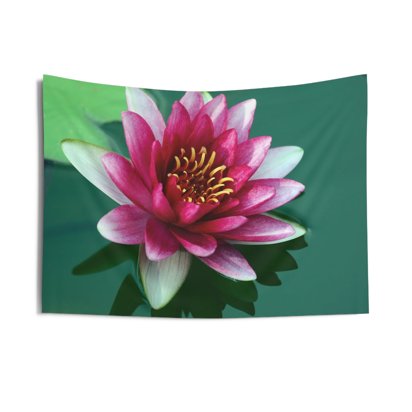 LOTUS SEEBLUME SEEROSE • Wandtuch • Wandttepich Schwarz Weiß • Wanddekor in v. Größen bis XXL