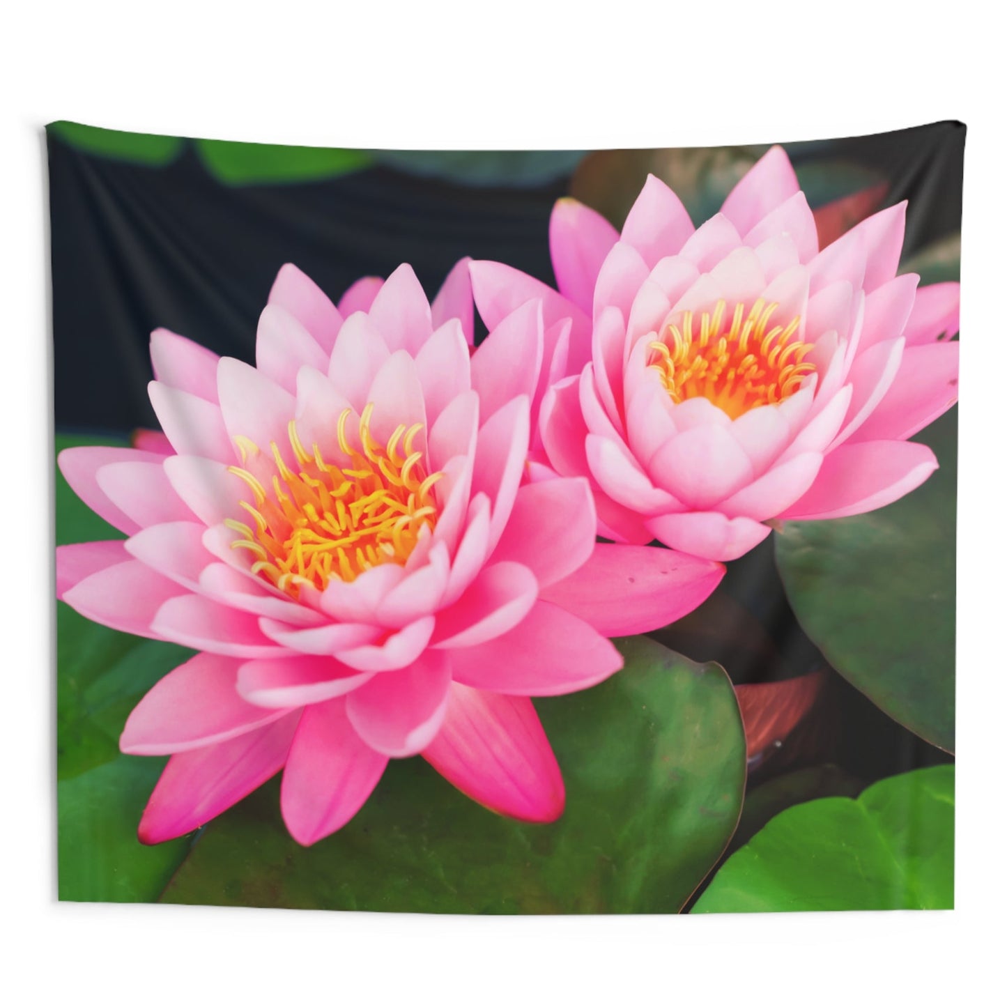 LOTUS BLÜTEN Rosa Pink Ästhetisch Buddhistisches SYMBOL • Wandtuch • Wandttepich • Wanddekor in v. Größen bis XXL