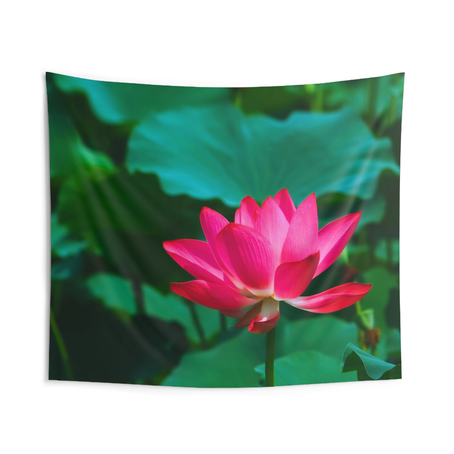 SEEROSE LOTUSBLUMEN Blüte Pinke Blume • Wandtuch • Wandttepich Grün • Wanddekor in v. Größen bis XXL