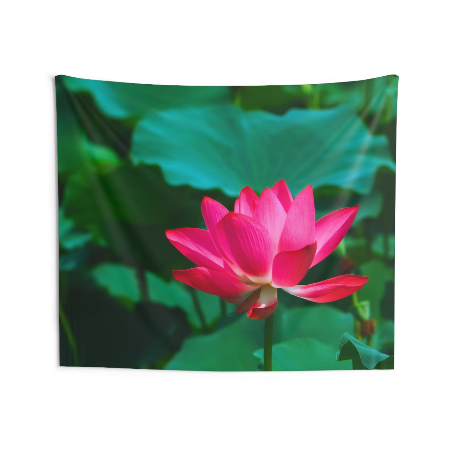 SEEROSE LOTUSBLUMEN Blüte Pinke Blume • Wandtuch • Wandttepich Grün • Wanddekor in v. Größen bis XXL