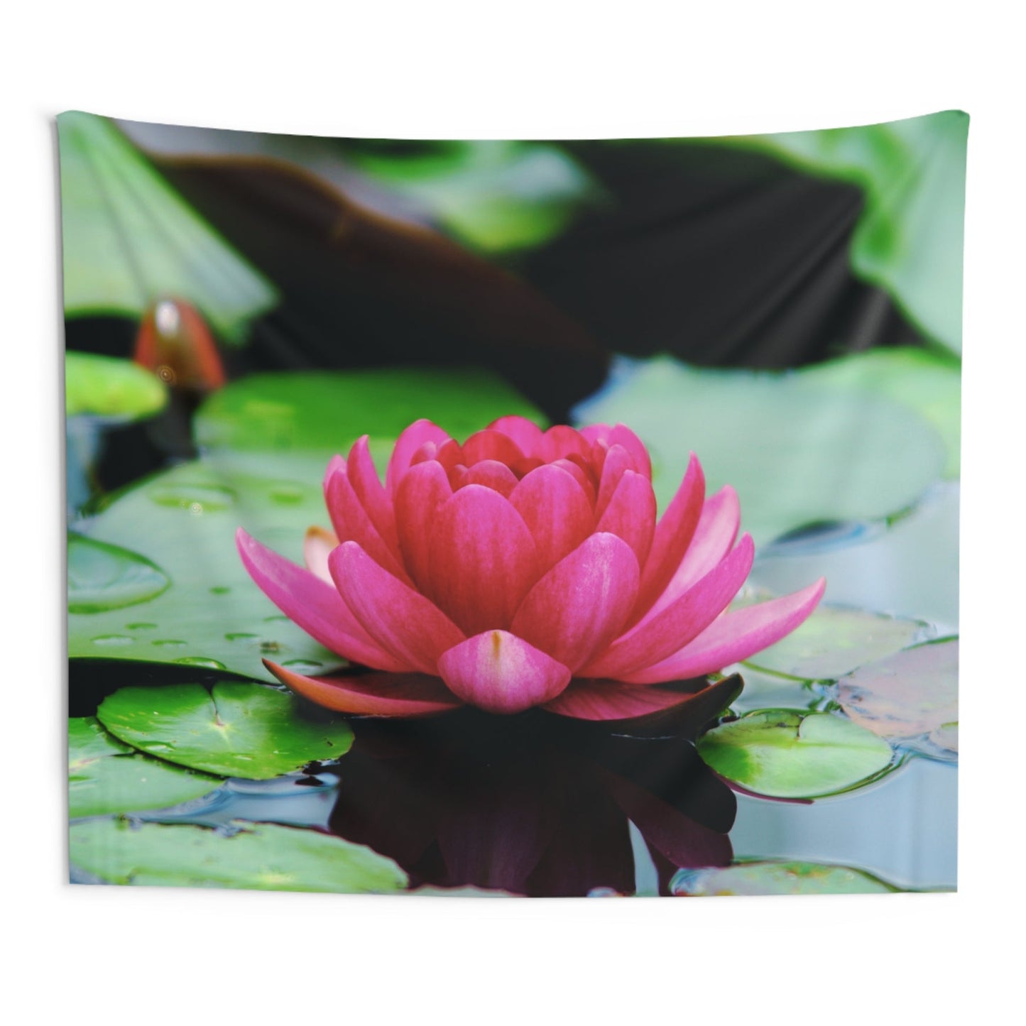 LOTUS PINKE BLUME SEEROSE • Wandtuch • Wandttepich • Wanddekor in v. Größen bis XXL