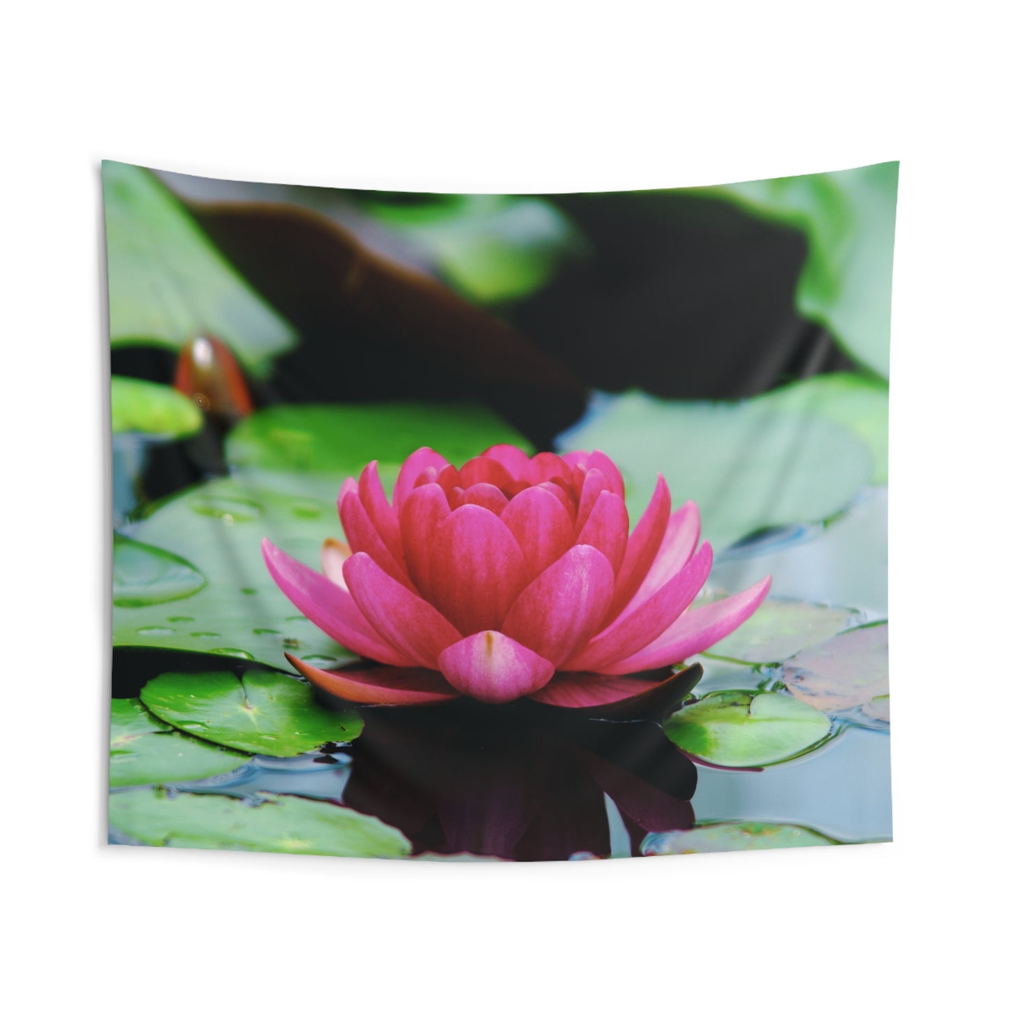 LOTUS PINKE BLUME SEEROSE • Wandtuch • Wandttepich • Wanddekor in v. Größen bis XXL