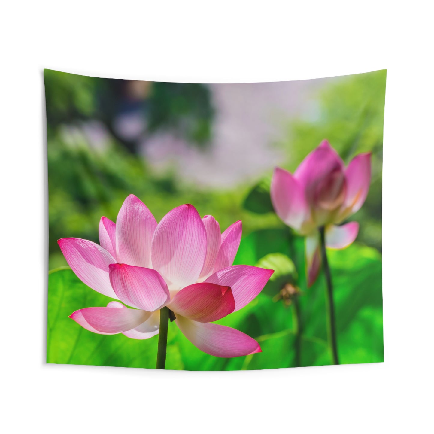 PINKE LOTUSBLÜTEN • Wandtuch • Wandttepich Schwarz Weiß • Wanddekor in v. Größen bis XXL