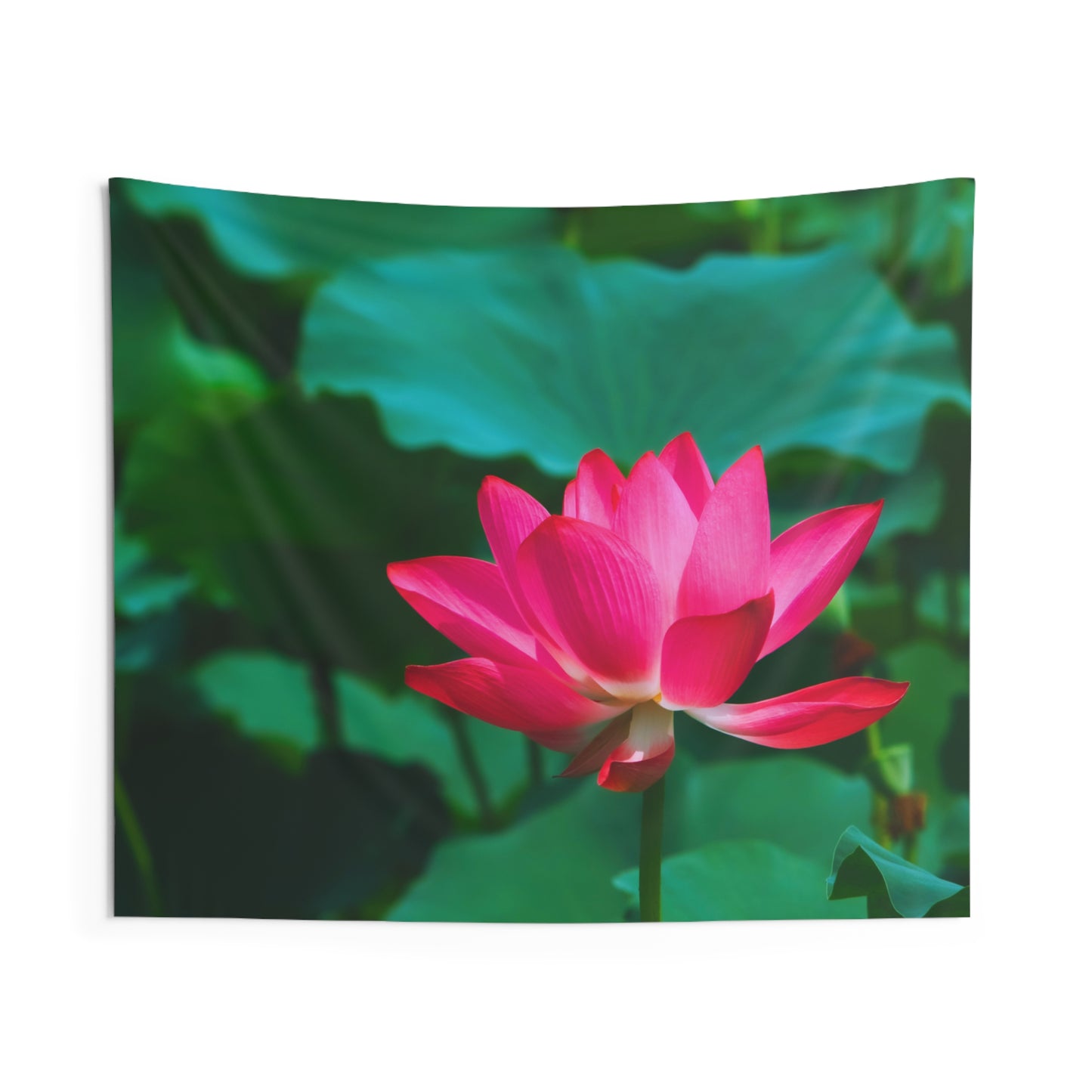 SEEROSE LOTUSBLUMEN Blüte Pinke Blume • Wandtuch • Wandttepich Grün • Wanddekor in v. Größen bis XXL