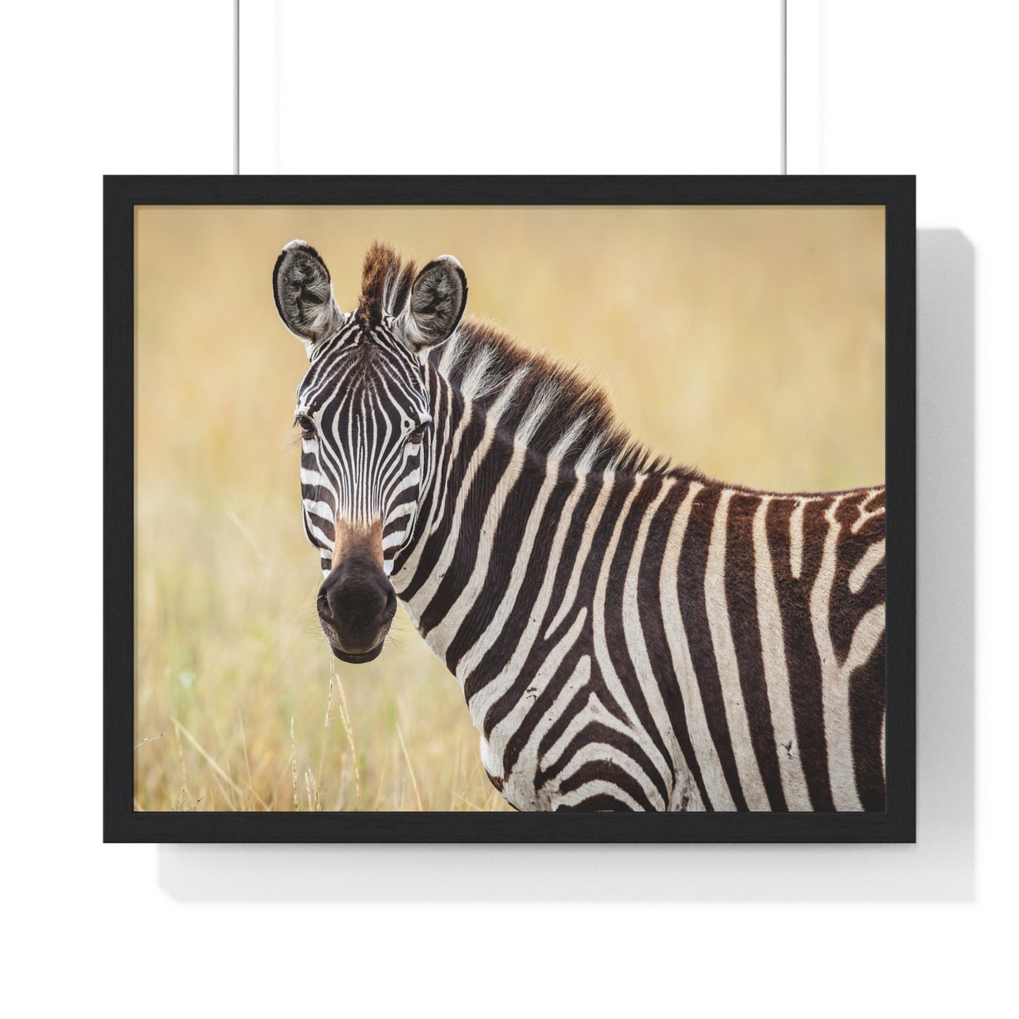 Horizontal Framed Poster