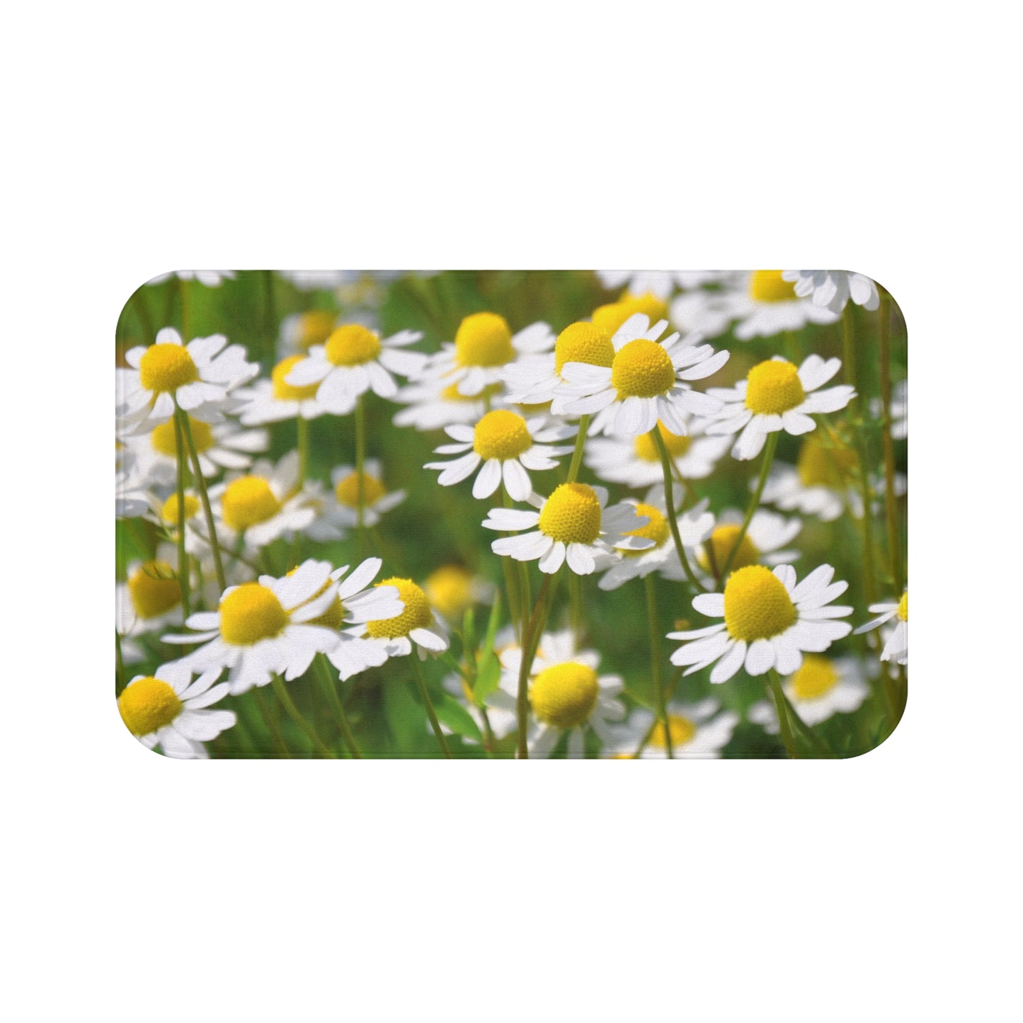 KAMILLEN BLÜTEN SOMMERBLUMEN • Badvorleger / Fussmatte / Badteppich EXTRA Weich • 43 x 61 cm & 53 x 86 cm