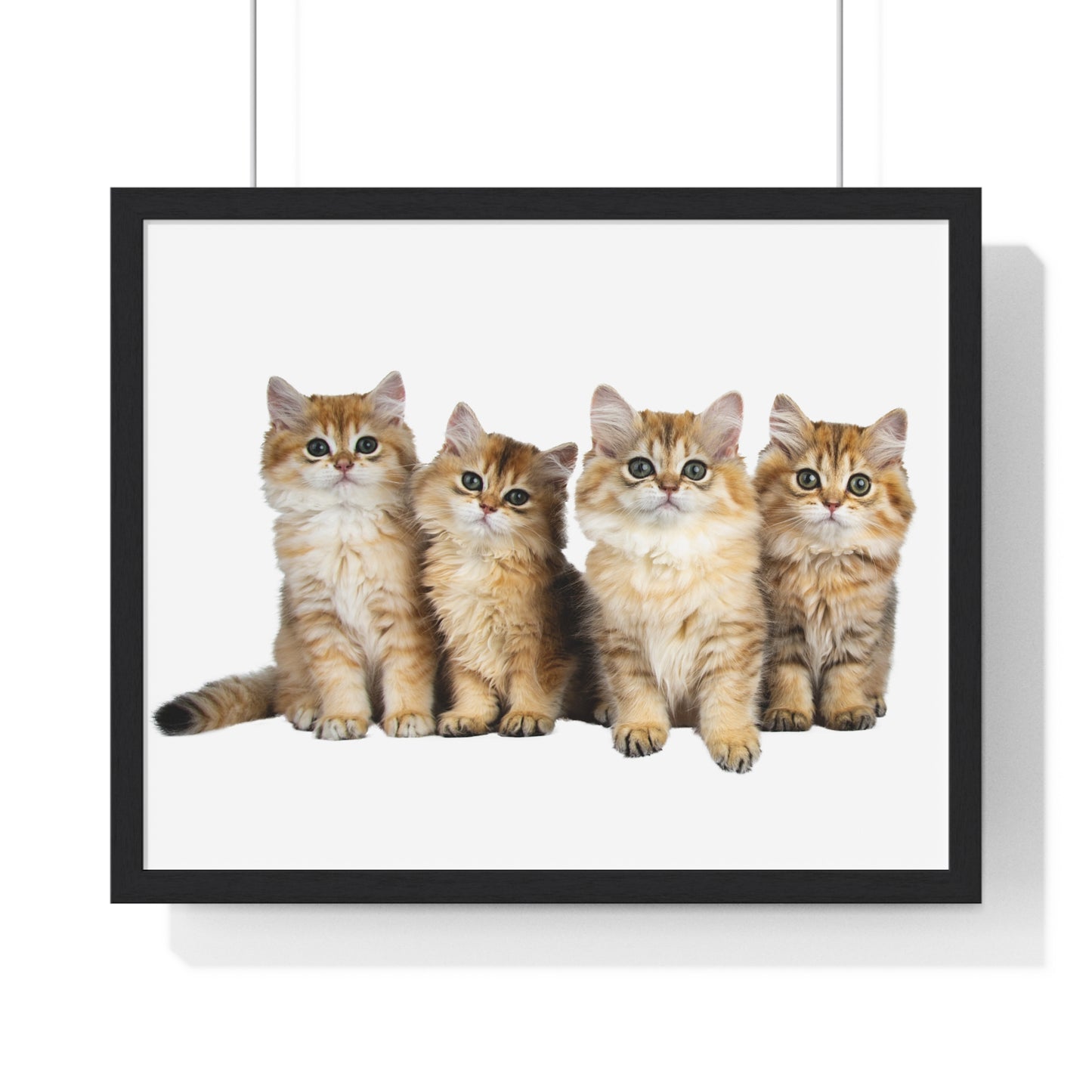 Horizontal Framed Poster