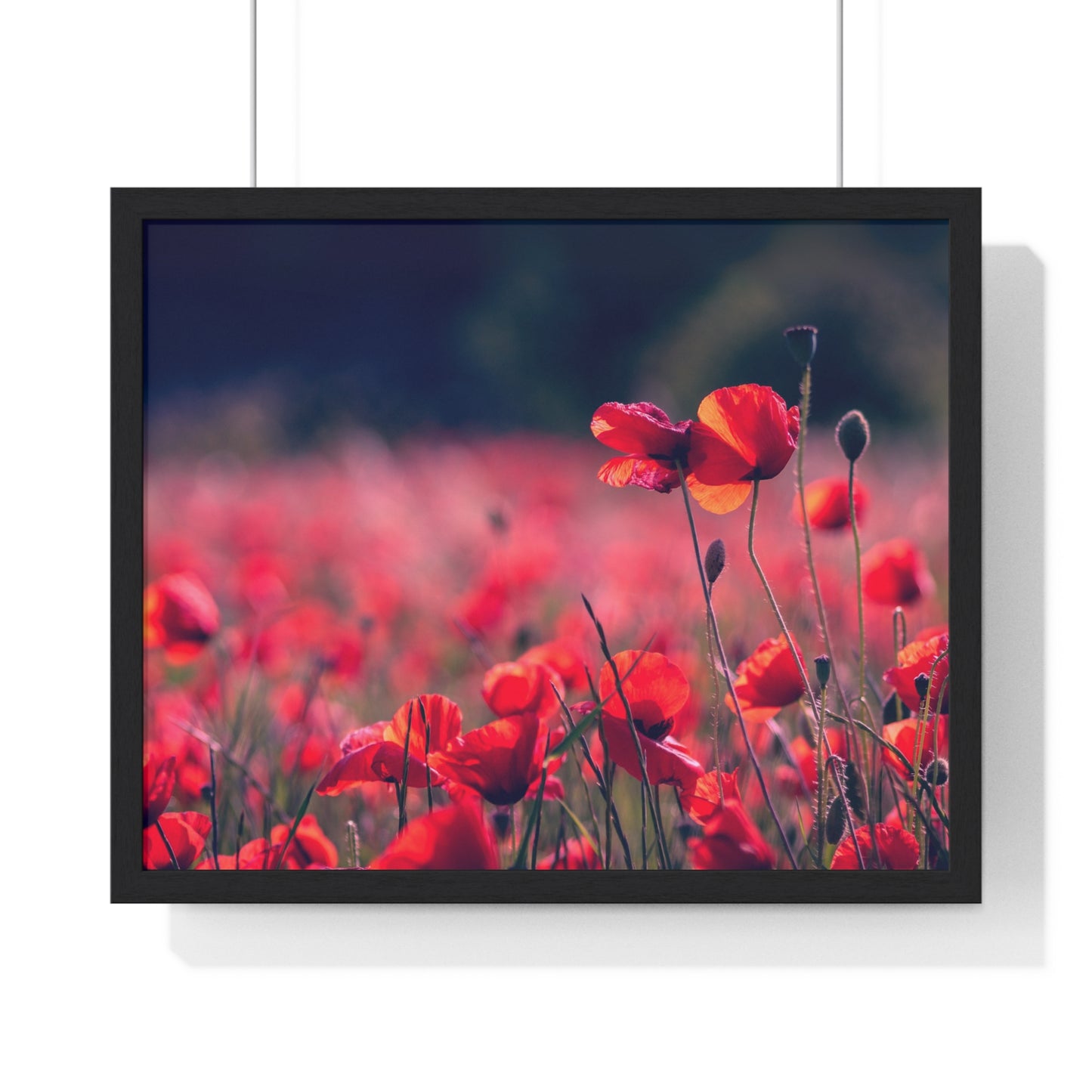 Horizontal Framed Poster