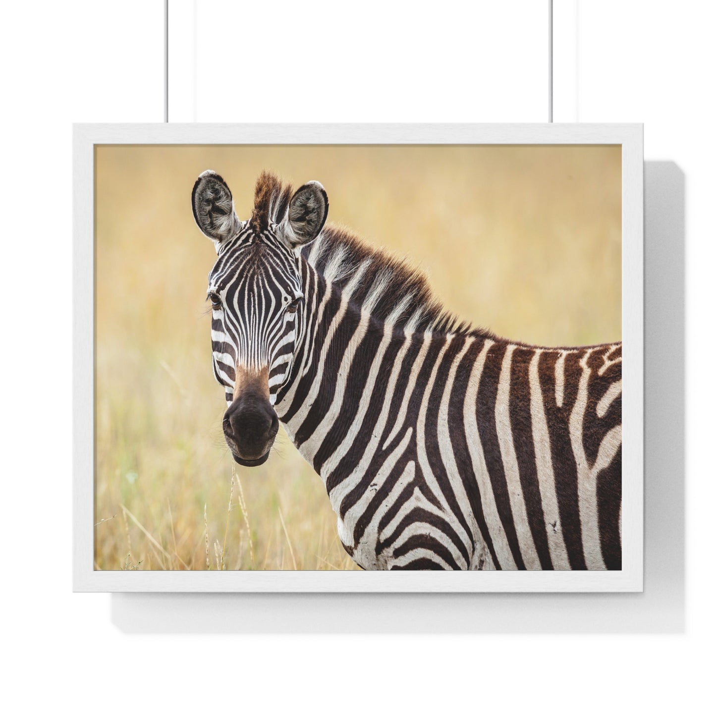 Horizontal Framed Poster