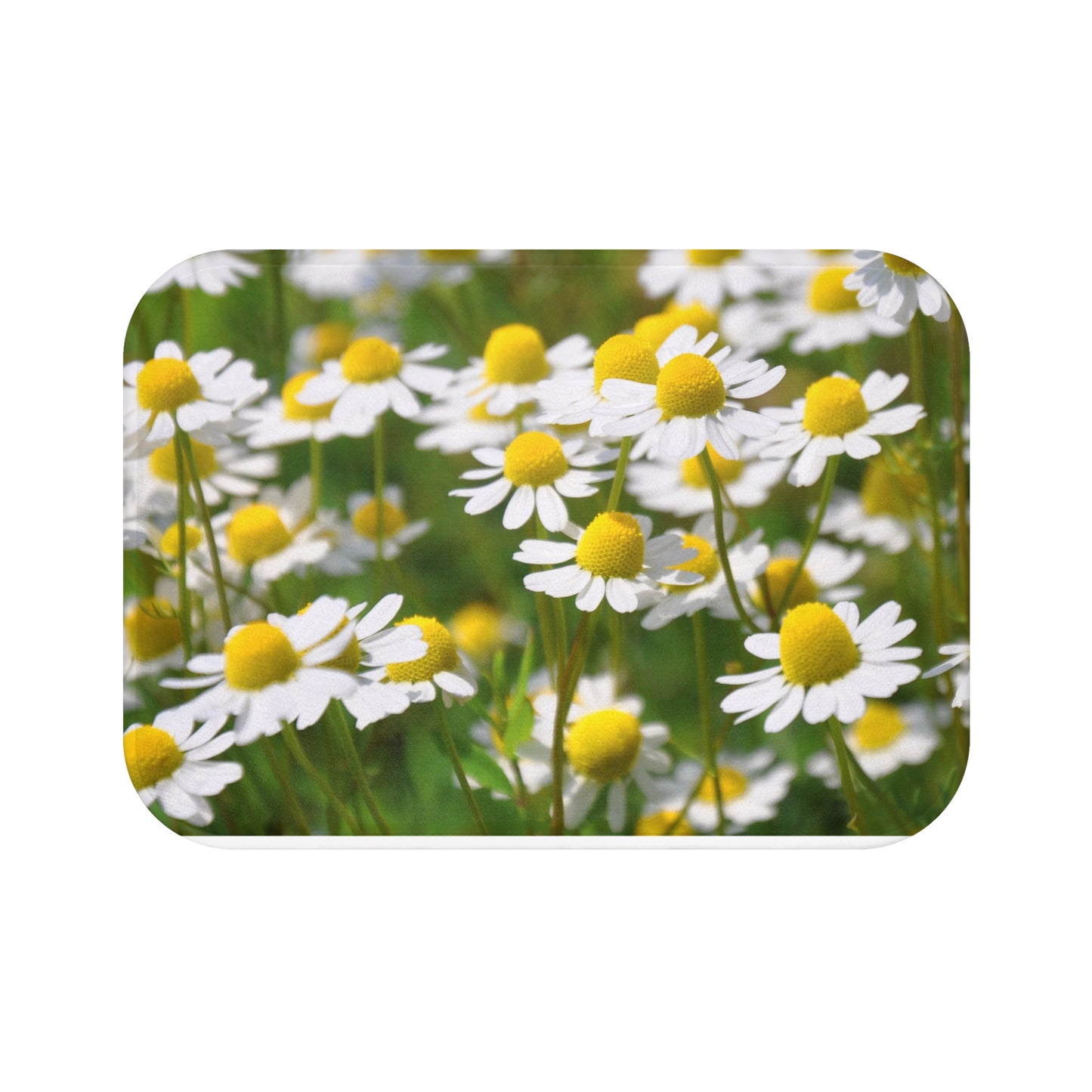 KAMILLEN BLÜTEN SOMMERBLUMEN • Badvorleger / Fussmatte / Badteppich EXTRA Weich • 43 x 61 cm & 53 x 86 cm