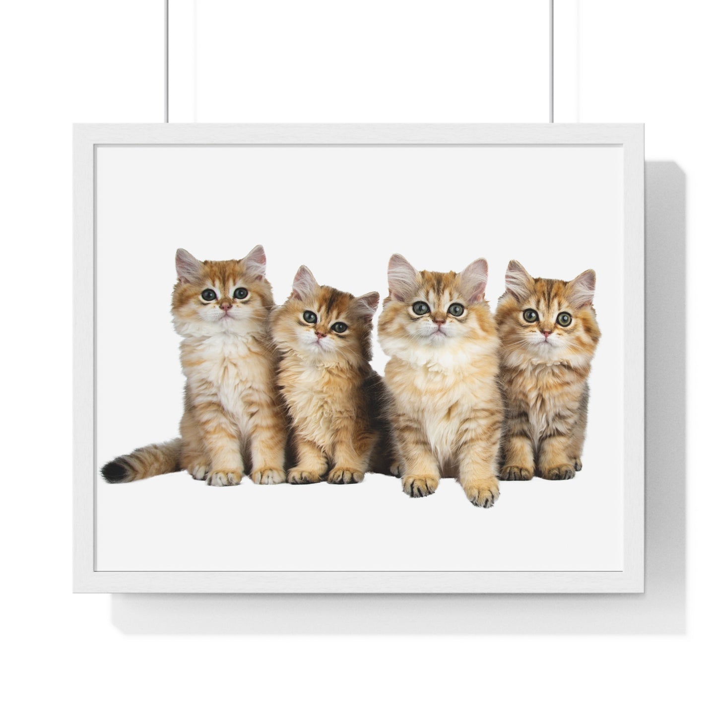 Horizontal Framed Poster