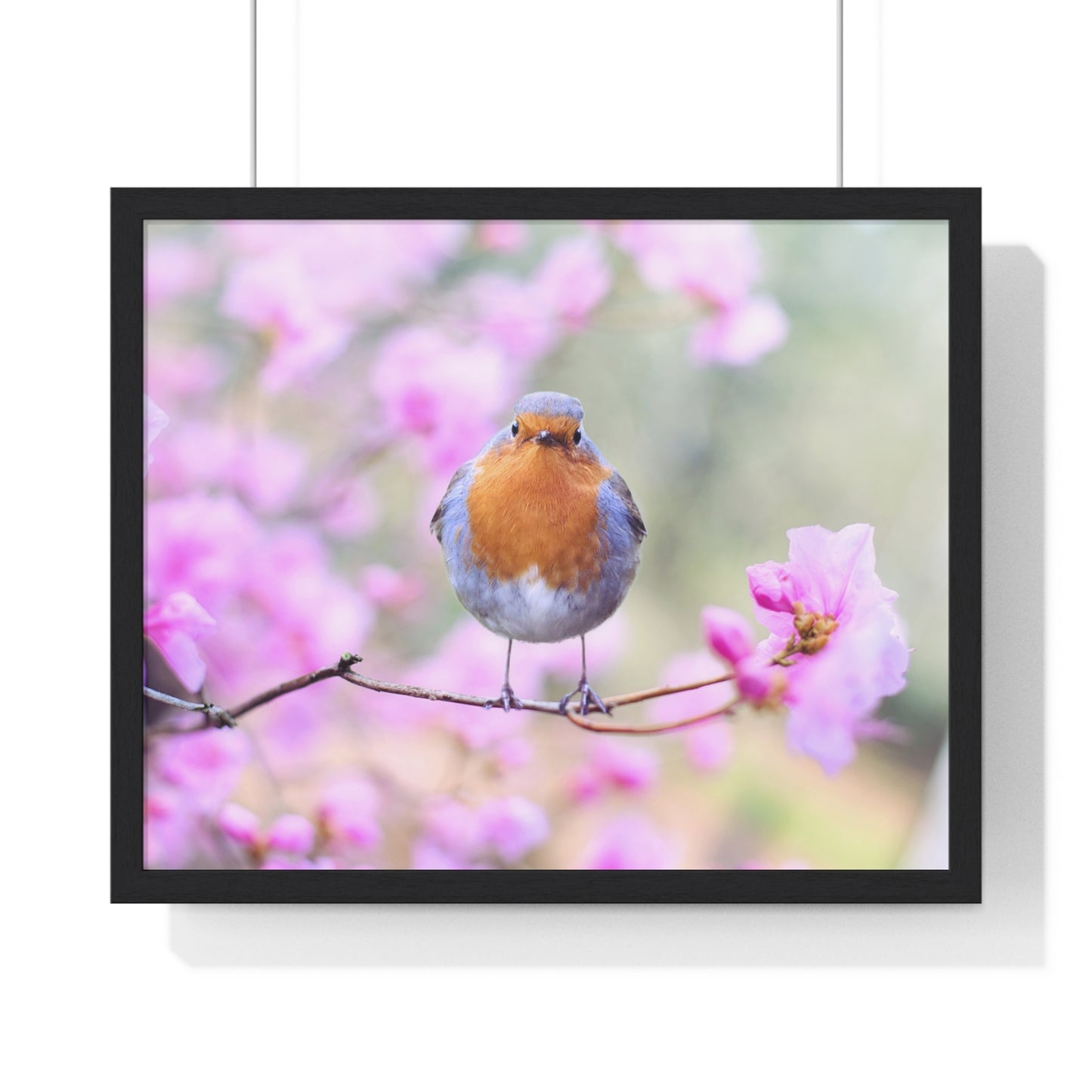 Horizontal Framed Poster